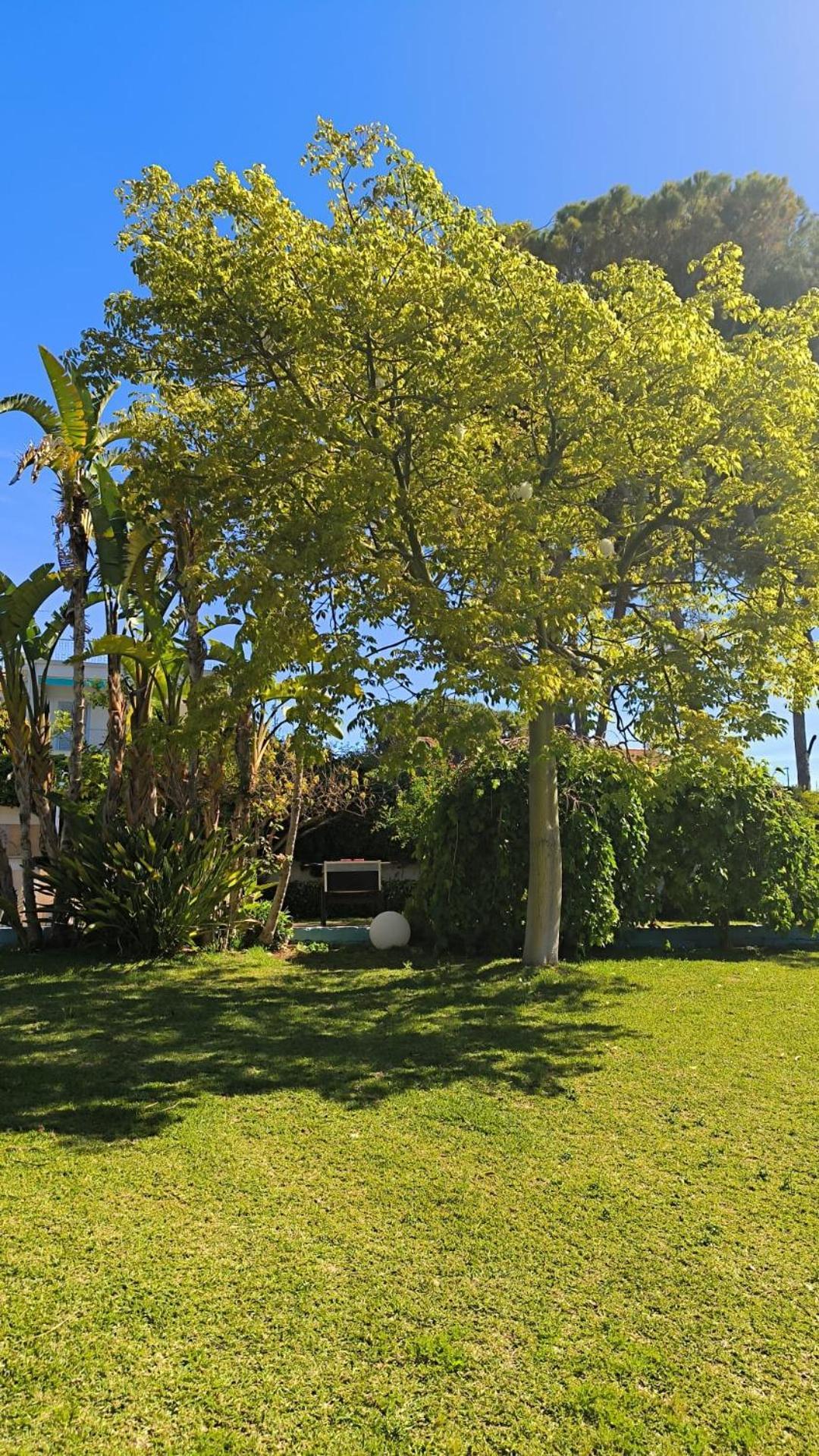 Small Luxury Apartments Pool And Sea View - Stella Del Mare Fontane Bianche Exterior foto